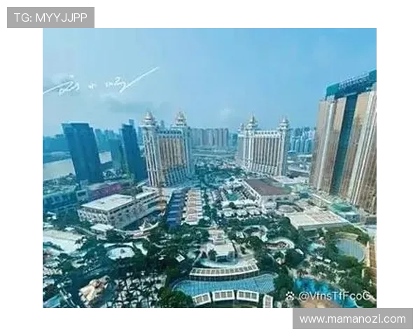 澳门十六浦索菲特酒店地址及周边环境介绍，方便游客提前了解住宿位置与周边配套设施